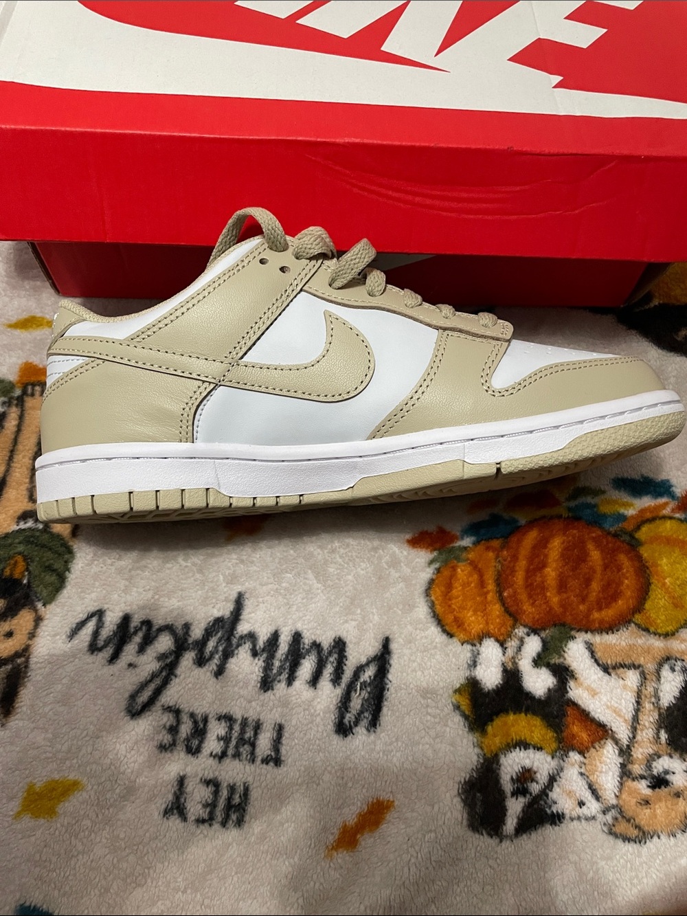 Nike Kids Low-Top Sneakers in Cream and White